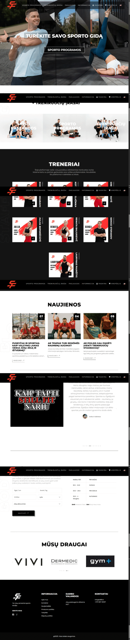 Atlikti darbai Stillfit svetainė