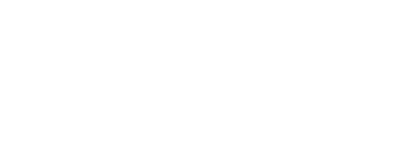 SvetainePro logotipas baltas